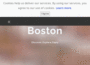 boston-discovery-guide.com