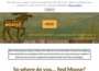 all-about-moose.com