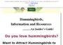 hummingbird-guide.com