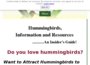 hummingbird-guide.com