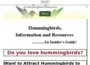 hummingbird-guide.com