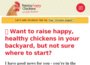 raising-happy-chickens.com