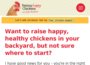 raising-happy-chickens.com